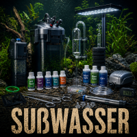 Sußwasser