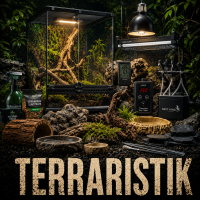 Terraristik