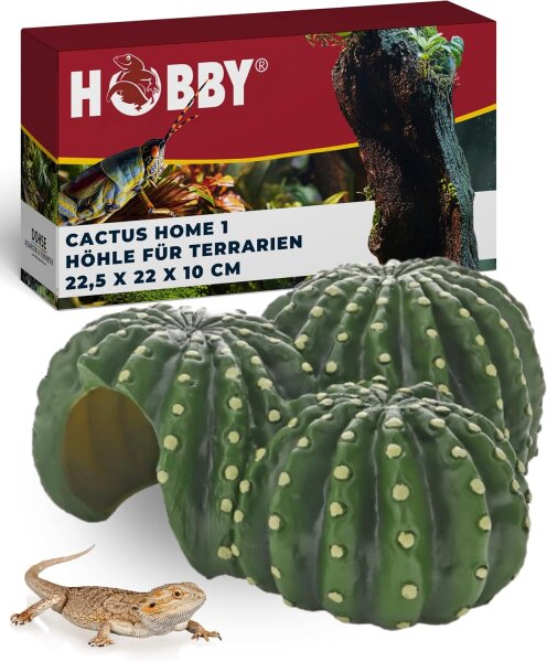 Cactus Home 3 Hobby