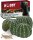 Cactus Home 3 Hobby