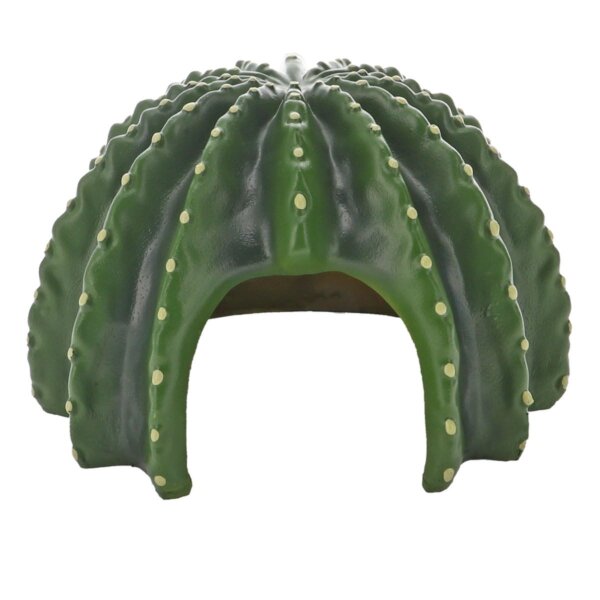 Cactus Home 2 Hobby