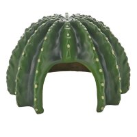 Cactus Home 2 Hobby