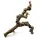 Weinrebe Jumbo 100-120cm