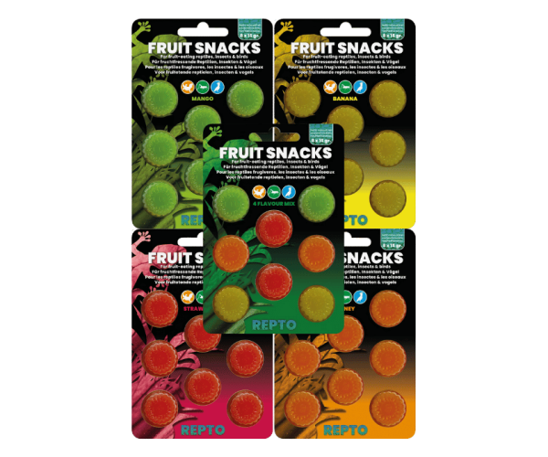 4 Flavour Mix Fruit Snack 120g