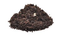 Spider Bedding 5L Habistat