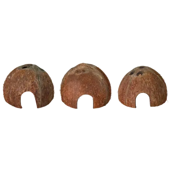 Coconut Cave Habistat