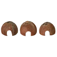 Coconut Cave Habistat