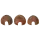 Coconut Cave Habistat