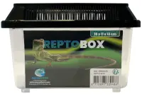 Repto Box 18x11x12 cm