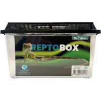 Repto Box 27x17x16 cm