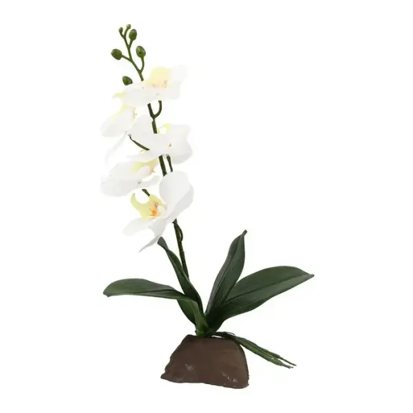 Lucky Reptile Orchidee klein weiß 35cm