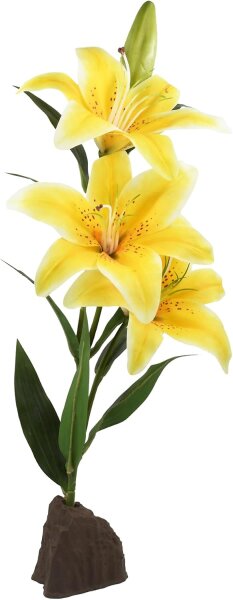 Lucky Reptile Orchidee groß gelb 35cm