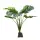 Lucky Reptile Monstera 60cm