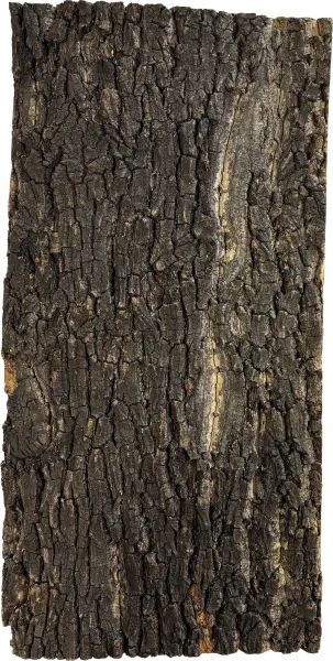 Repto Cork Plate 60x30cm