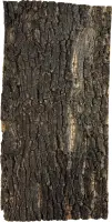 Repto Cork Plate 60x30cm