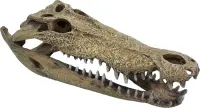 Repto Deco Crocodile XXL