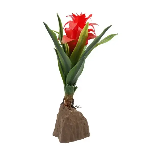 Lucky Reptile Bromelie groß rot 30cm