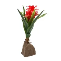 Lucky Reptile Bromelie groß rot 30cm