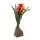 Lucky Reptile Bromelie groß rot 30cm