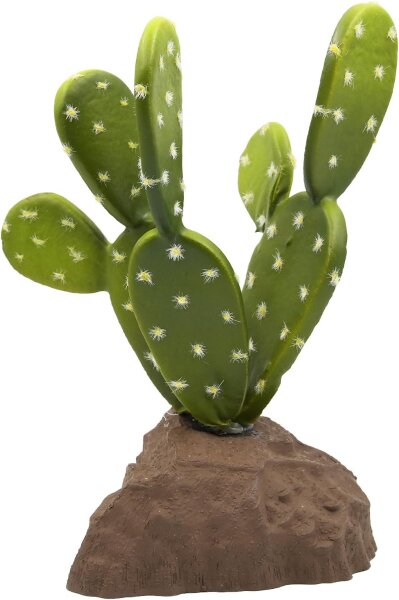 Lucky Reptile Biberschwanzkaktus 15cm