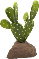 Lucky Reptile Biberschwanzkaktus 15cm