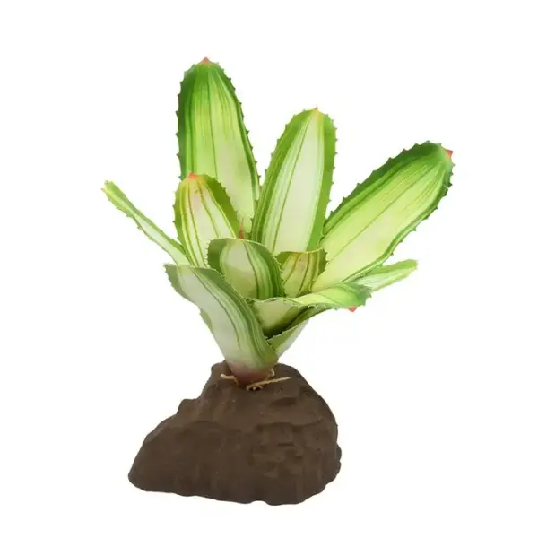 Lucky Reptile Bromelie Neoregelia weiß