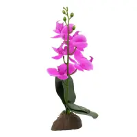 Lucky Reptile Orchidee klein lila 35cm