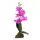 Lucky Reptile Orchidee klein lila 35cm