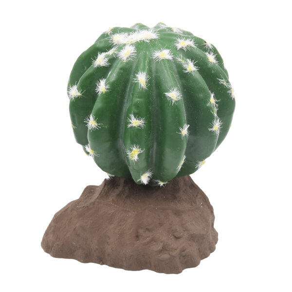Lucky Reptile Kugelkaktus 15cm