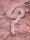 Bunte sandboa / Gongylophis conicus
