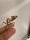 Totes Blatt / Deroplatys desiccata