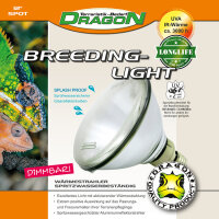 Drago Breeding-Light 60 W