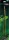 Repto Tweezer Bamboo