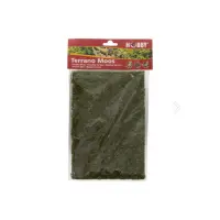 Terrano 100g Moos