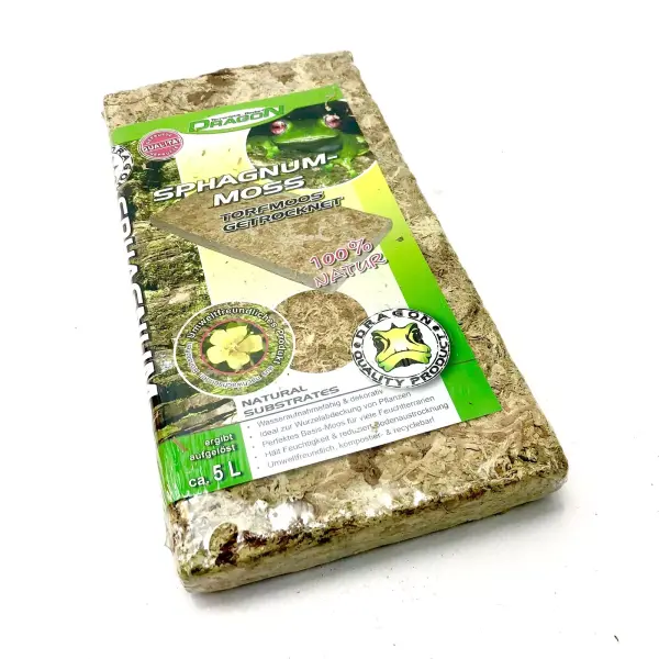 Dragon Sphagnum Moos