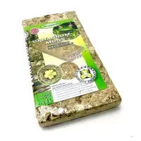Dragon Sphagnum Moos