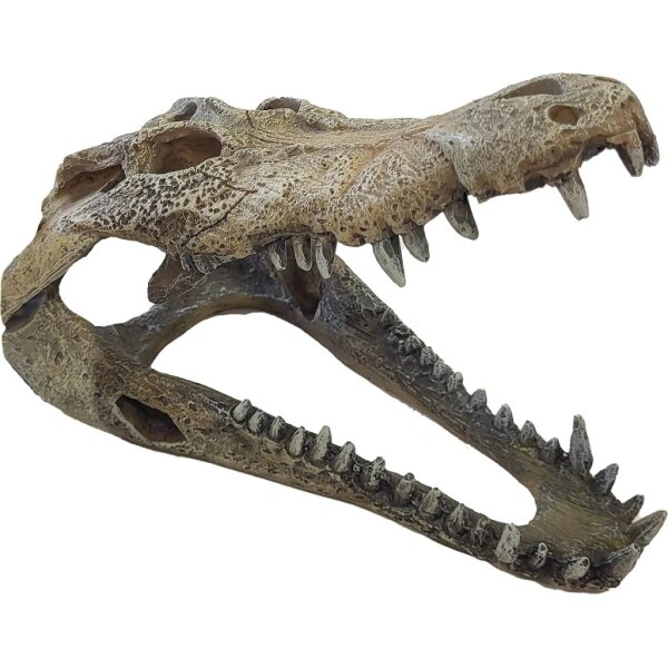 Repto Deco Crocodile L