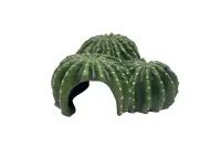 CactusHome 5