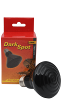 Dark Spot Lucky reptile
