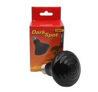 Dark Spot Lucky reptile