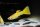 Guppy / Poecilia reticulata