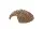 Hobby Woody Home S