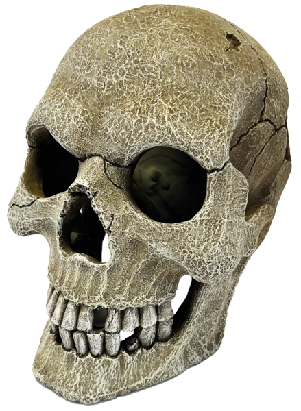 Repto Human Skull XL