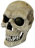 Repto Human Skull XL