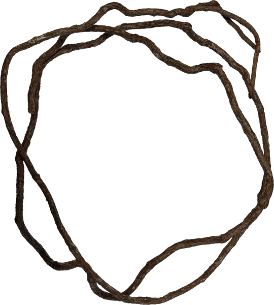 Repto Tree Vine