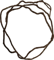 Repto Tree Vine