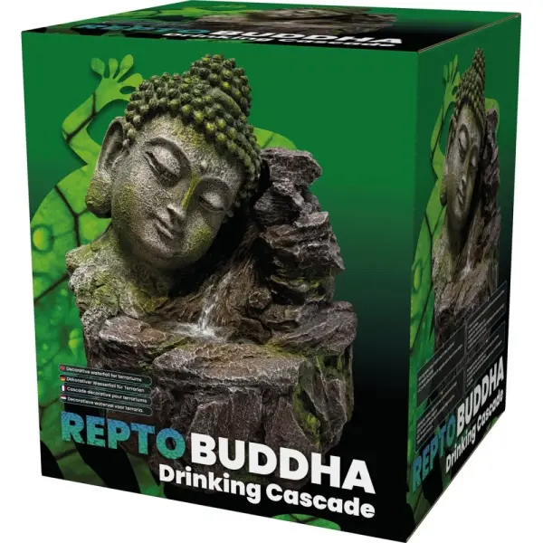 Repto Buddha Kaskade