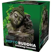 Repto Buddha Kaskade