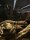 Raunackenwaran / Varanus rudicollis