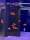 Falcher Clownfisch / Amphiprion ocellaris